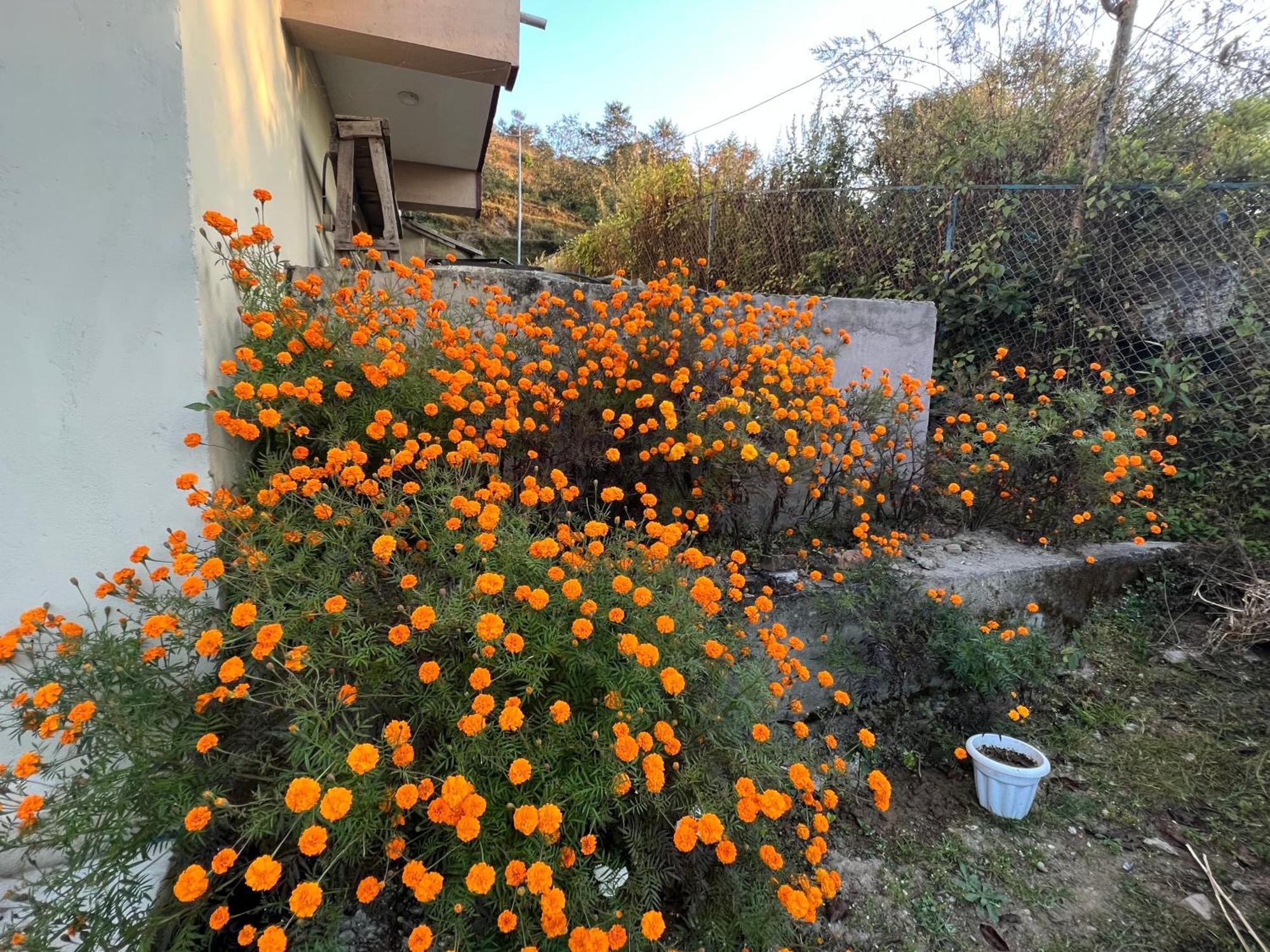 Hotel Village View Nagarkot Exterior photo